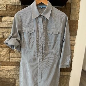 Pinstripe Antonio Melani Dress